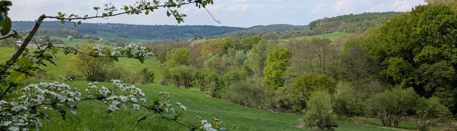 Carolina Polle - Über mich